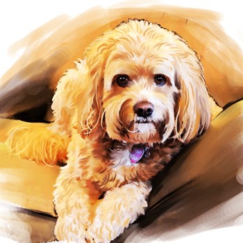 Watercolor Pop Art Portrait of A Brown Dog from Photo,myDaVinci - myDaVinci